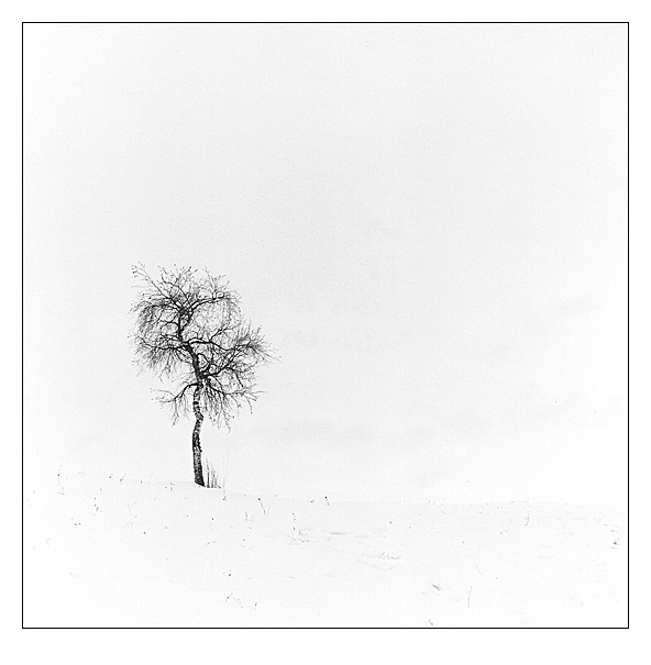 Winter Silence 1