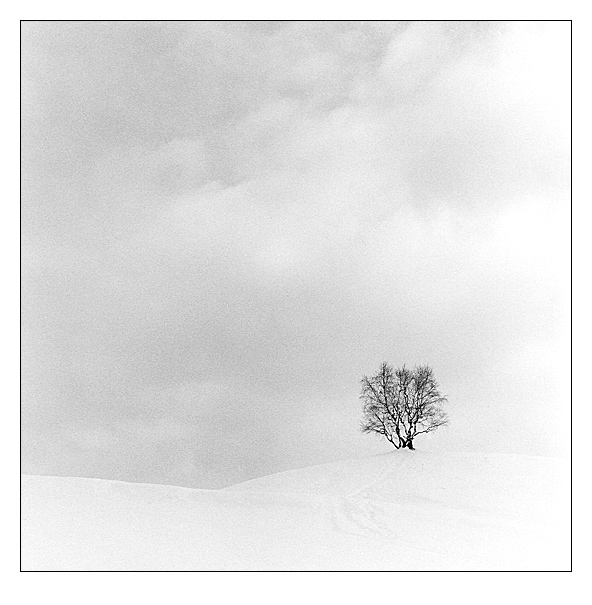 Winter Silence 3