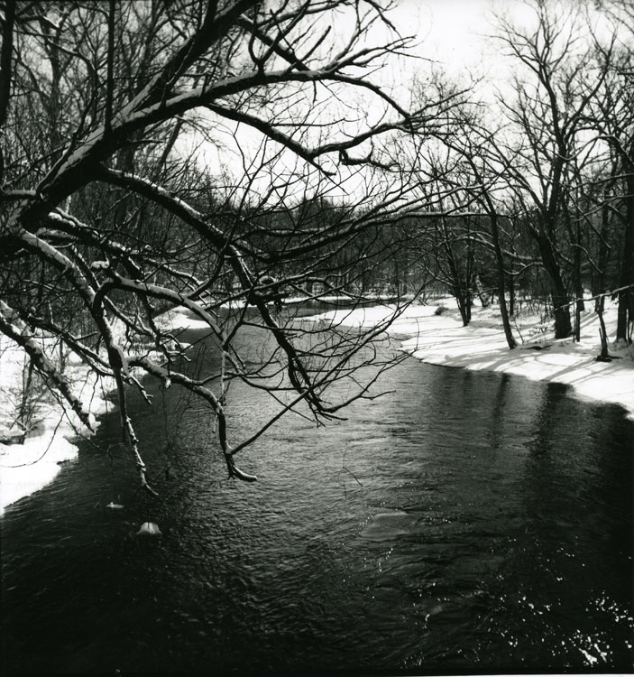 Winter Stream