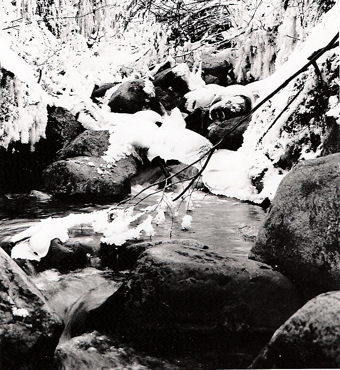 Winter stream