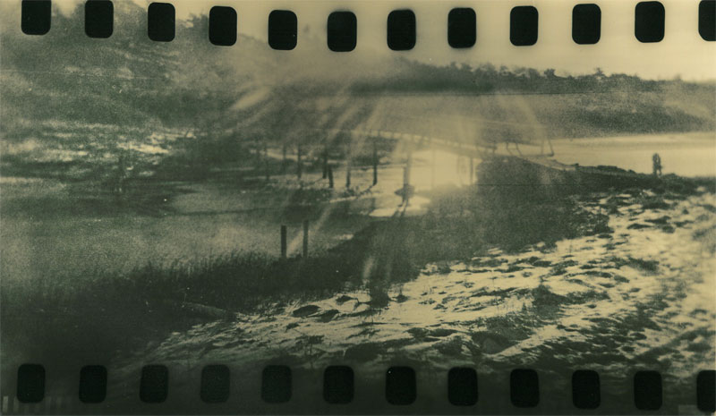 Winter sun