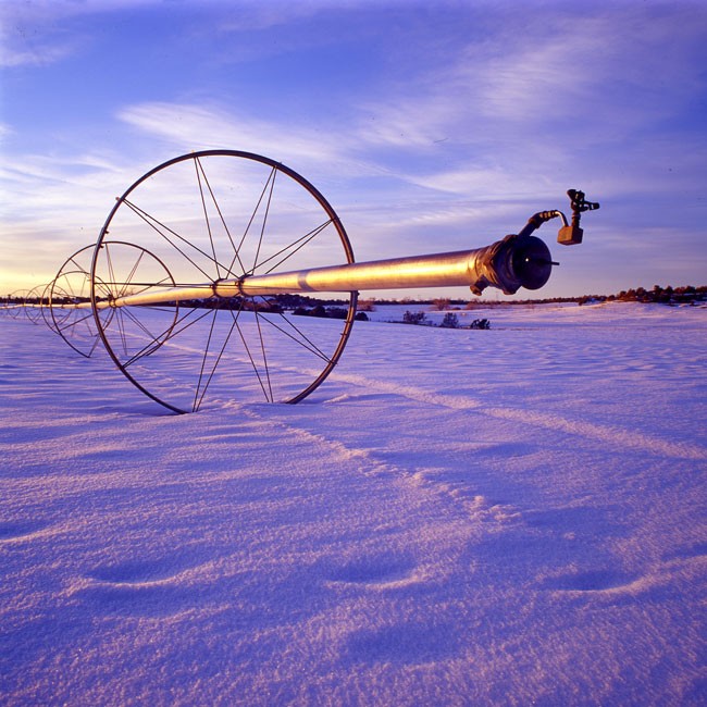 Winter sunset