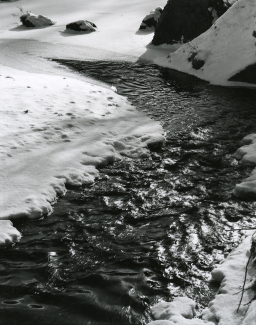 Winter Trout Stream