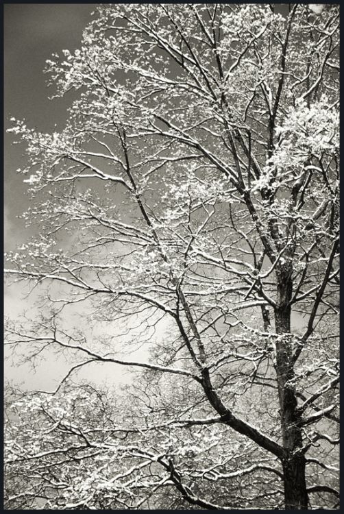 Winter Variations _ Patterns