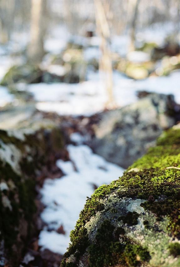 Winter Variations