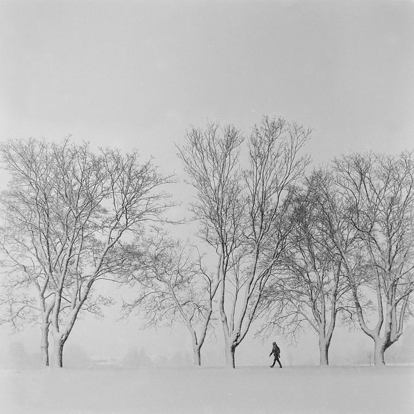 Winter walk