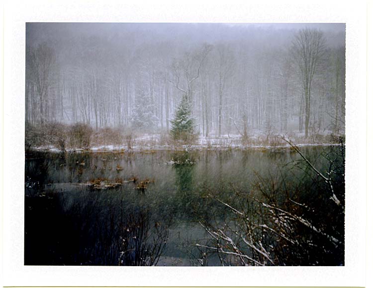 Winter will not give up