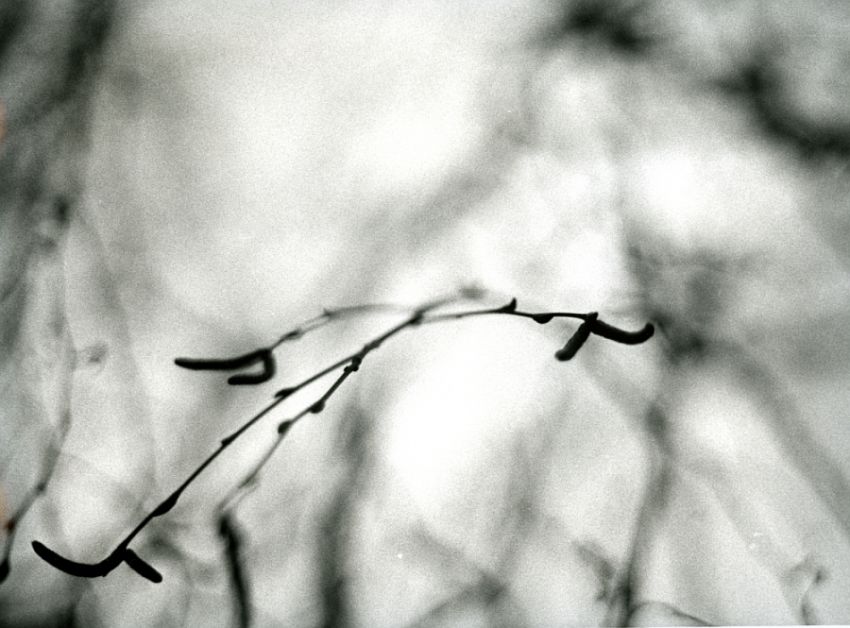 winter