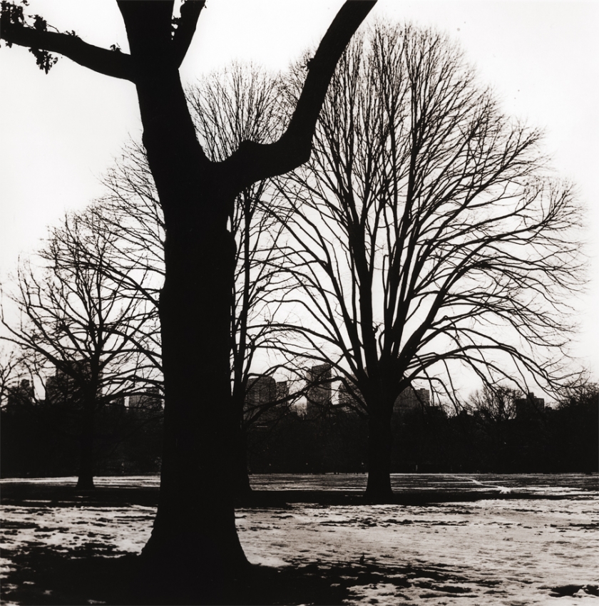 Winter's Grip