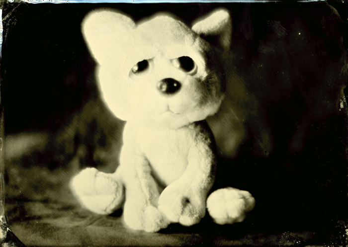 Wolfie.....
