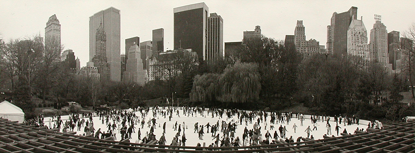 Wollman Rink, Noblex 6/150F