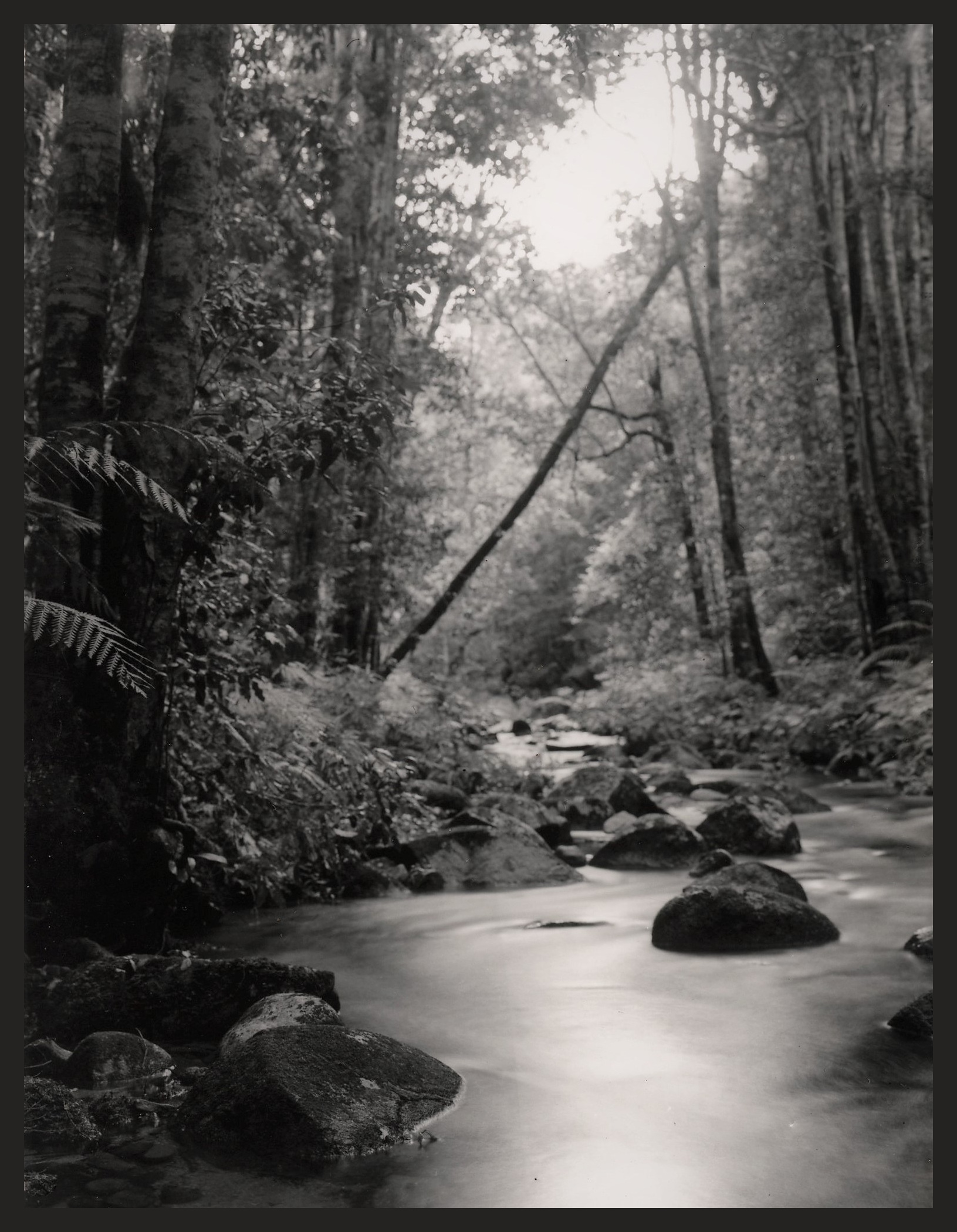 Wollondilly