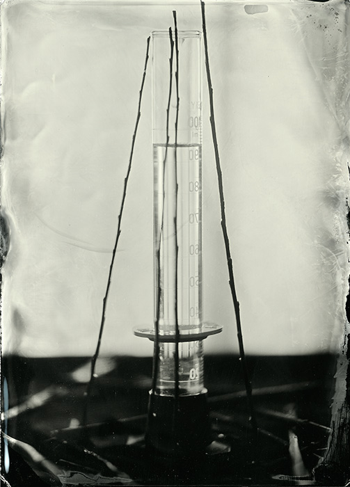 Wood, Chemicals And Light #2