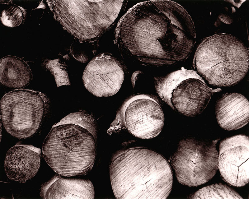 Wood Pile