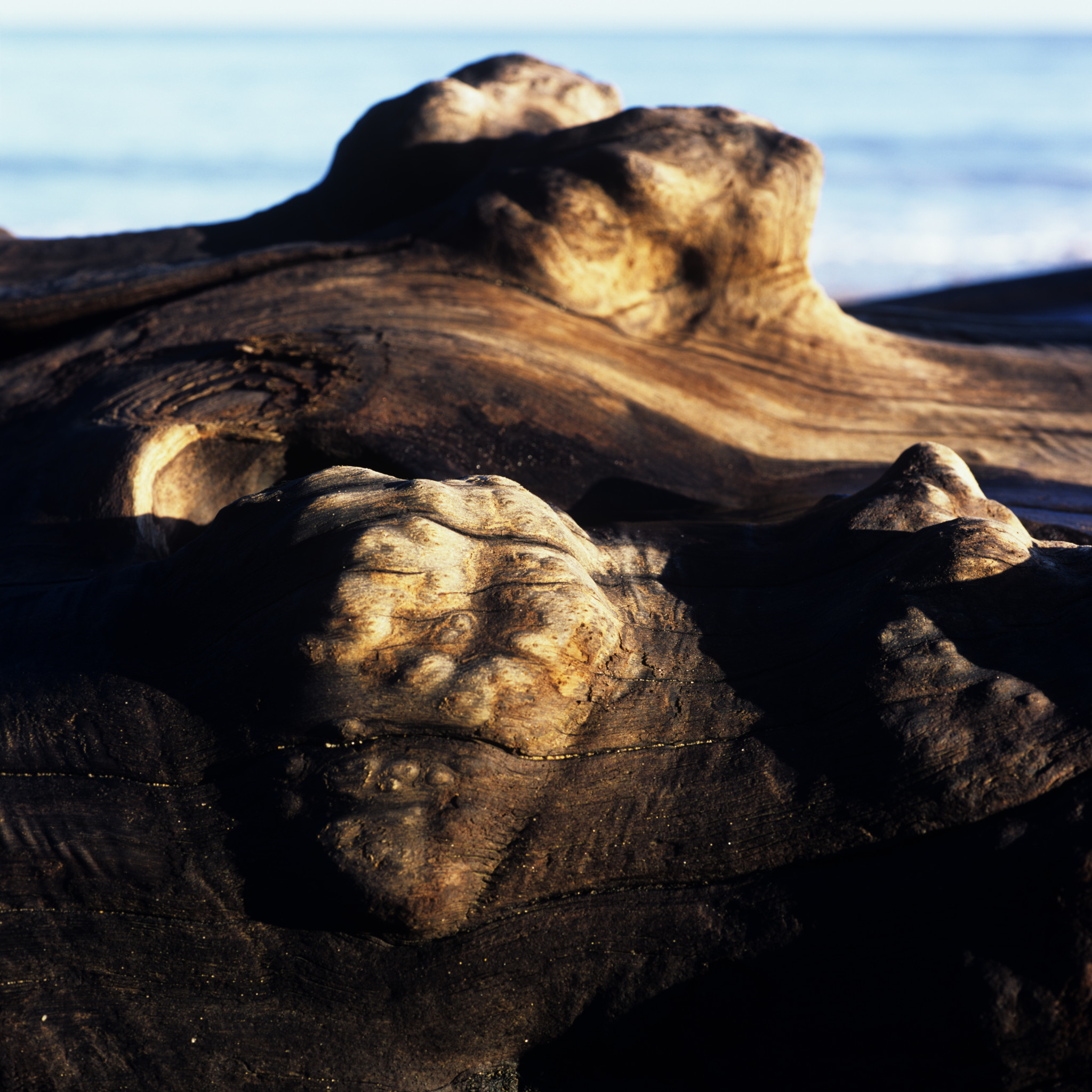 Wood textures