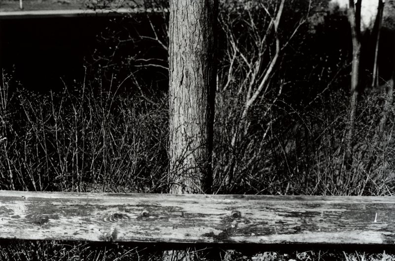 Wood