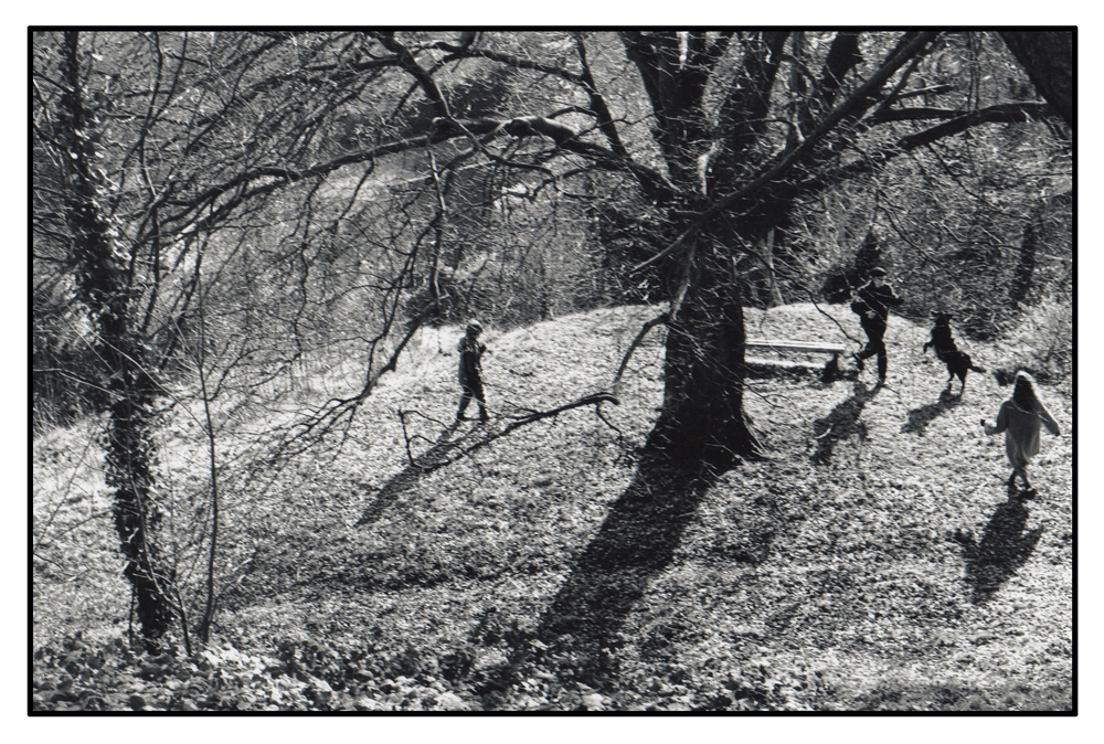 Woodland Play