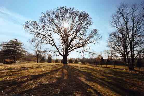 Woodlands Cemetery, Philadelphia, PA