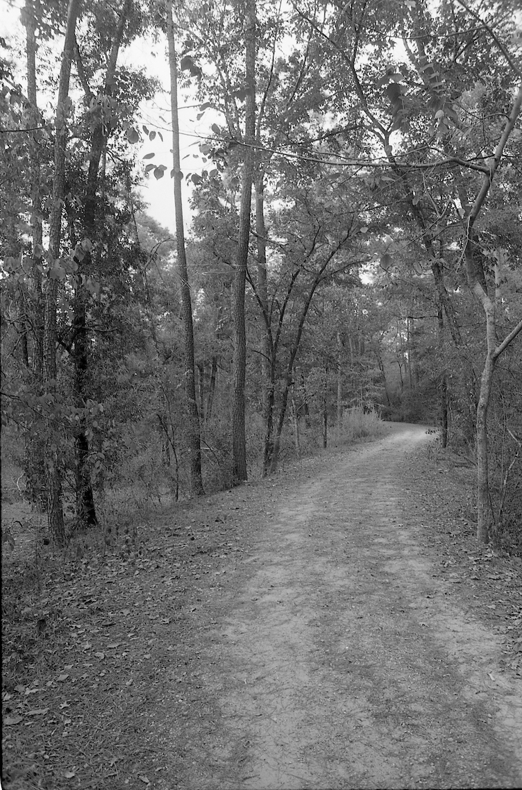 Woods