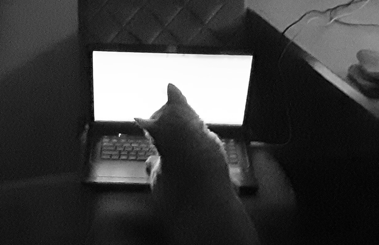 Work from home