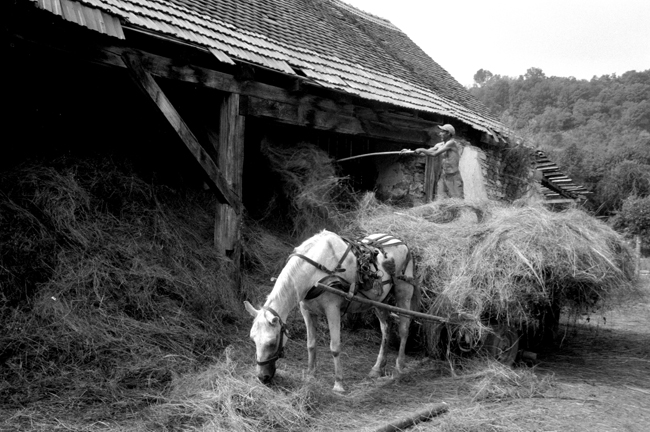 Work in Romania