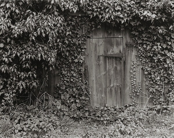 Workers entrance, The Hyde