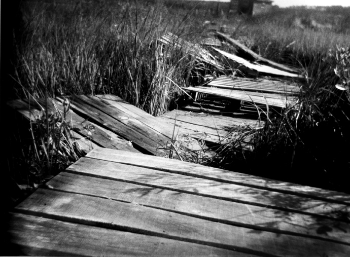 world toy camera day 2008 number 1