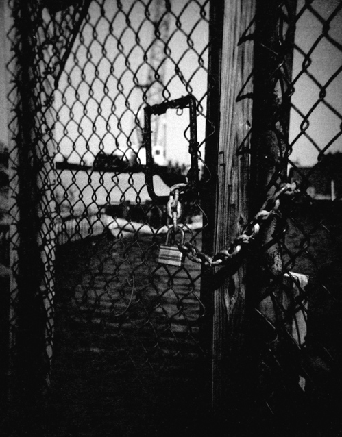 world toy camera day 2008 number 3