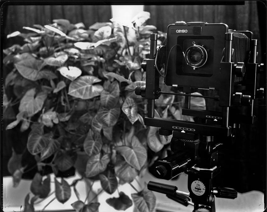 X-Ray Film Tryouts