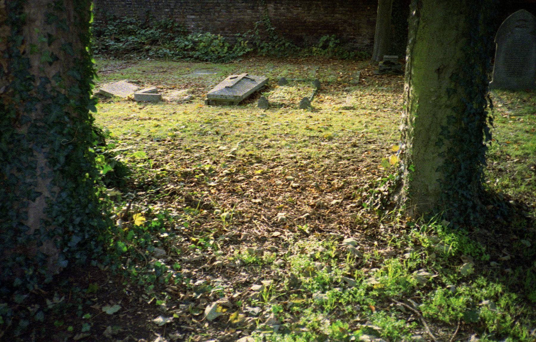 XA Graveyard