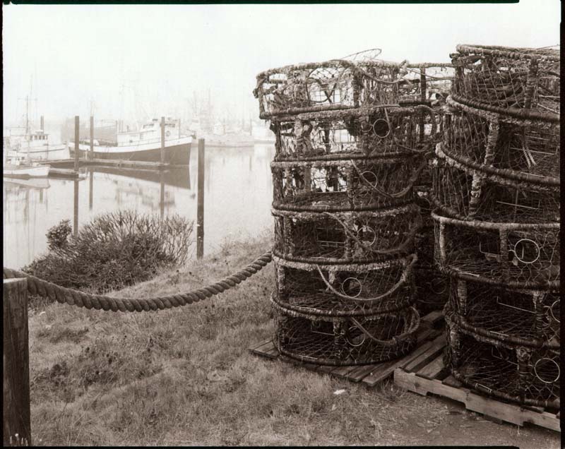 Yaquina Bay on a Foggy Day
