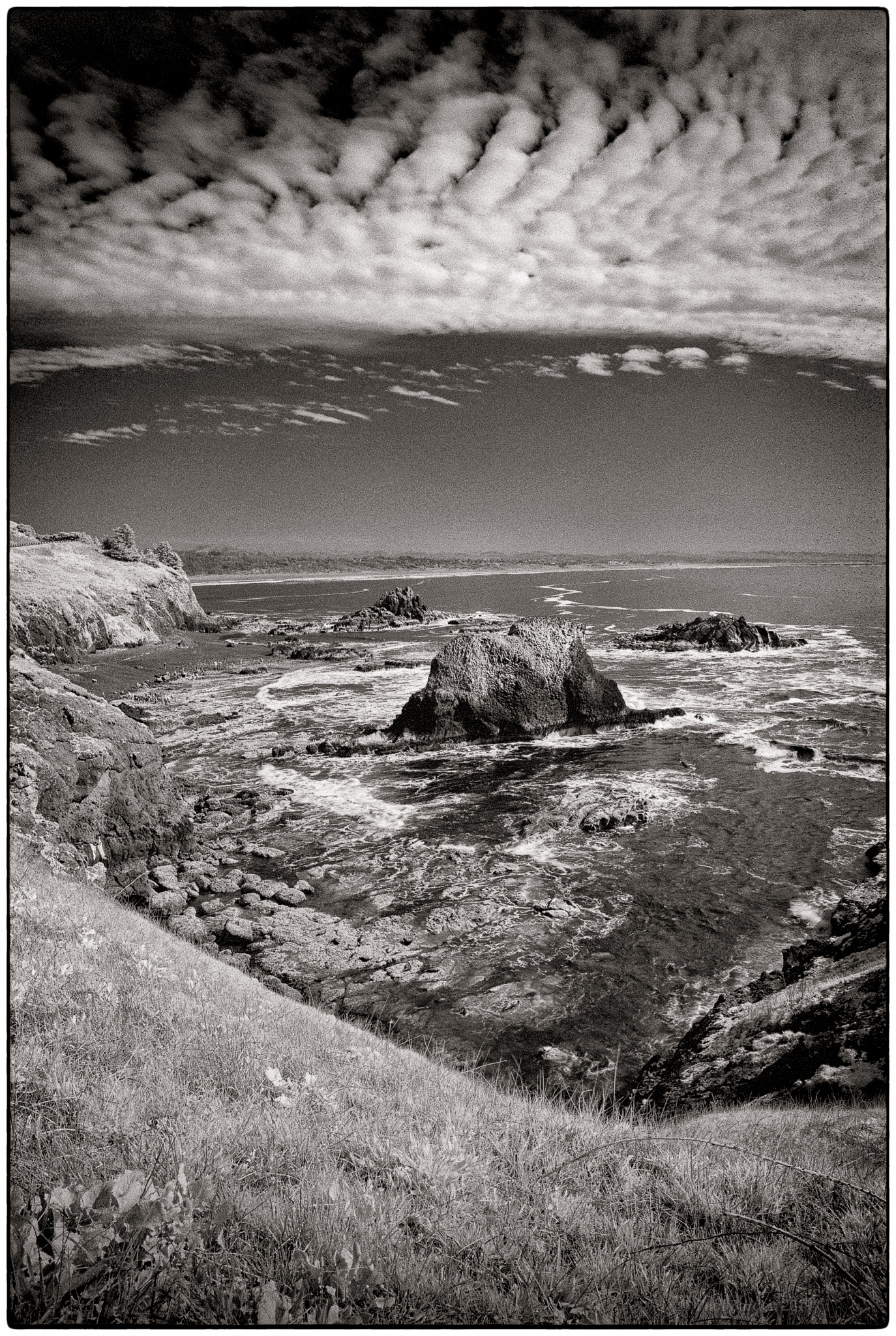 Yaquina.head2.sm