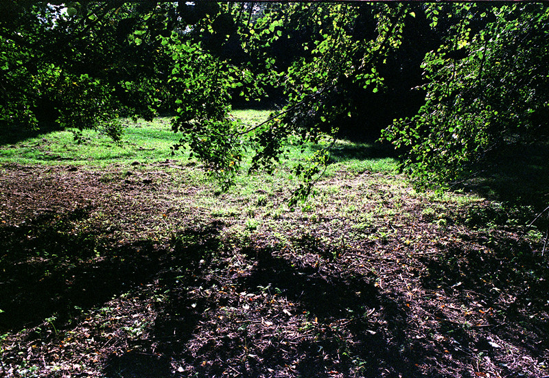 YASHICA  ML 28mm Test 04