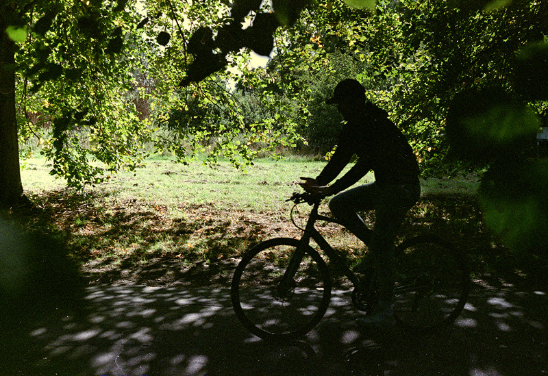 Yashica ML 50mm f2 Test