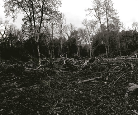 year 2 remains of a battlefield?