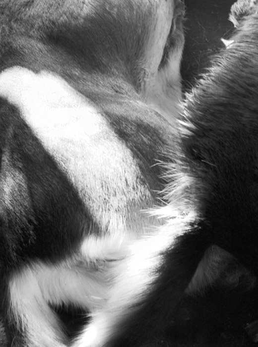 year 4 day 14