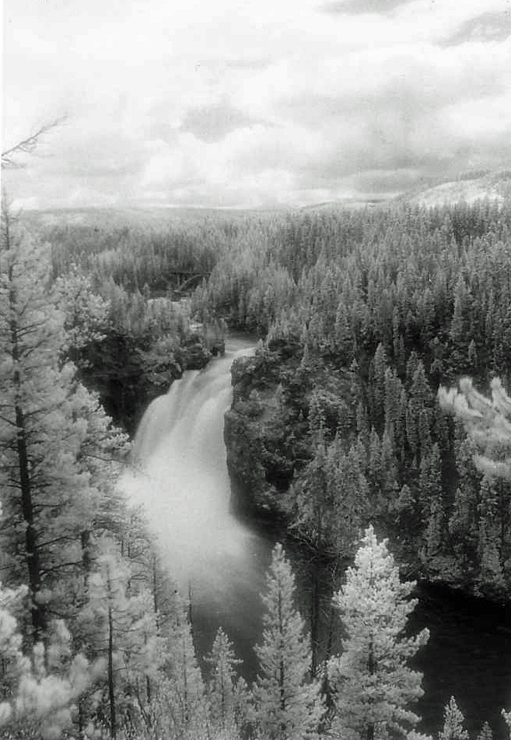 Yellowstone Falls
