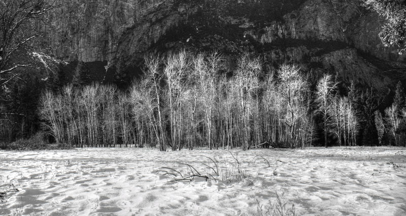 Yosemite Cooks Meadow