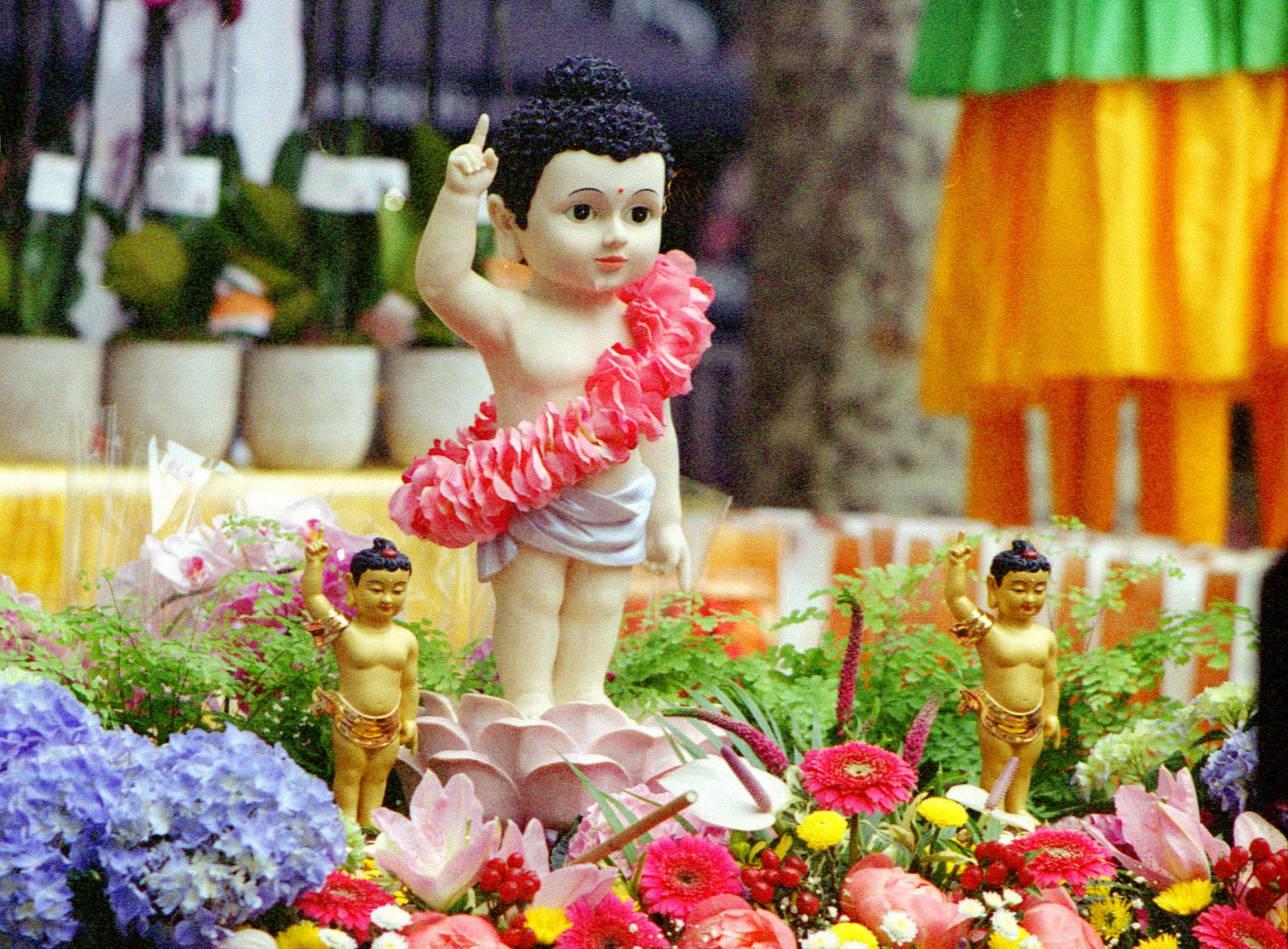 Young 'Buddhas'