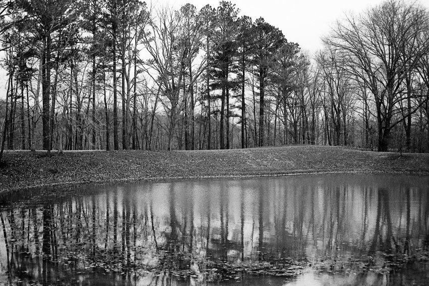 Zack's Pond