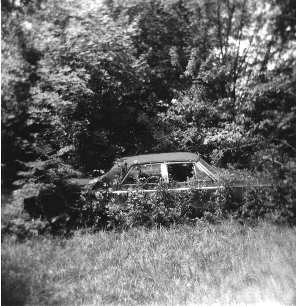 ZaneHolga2