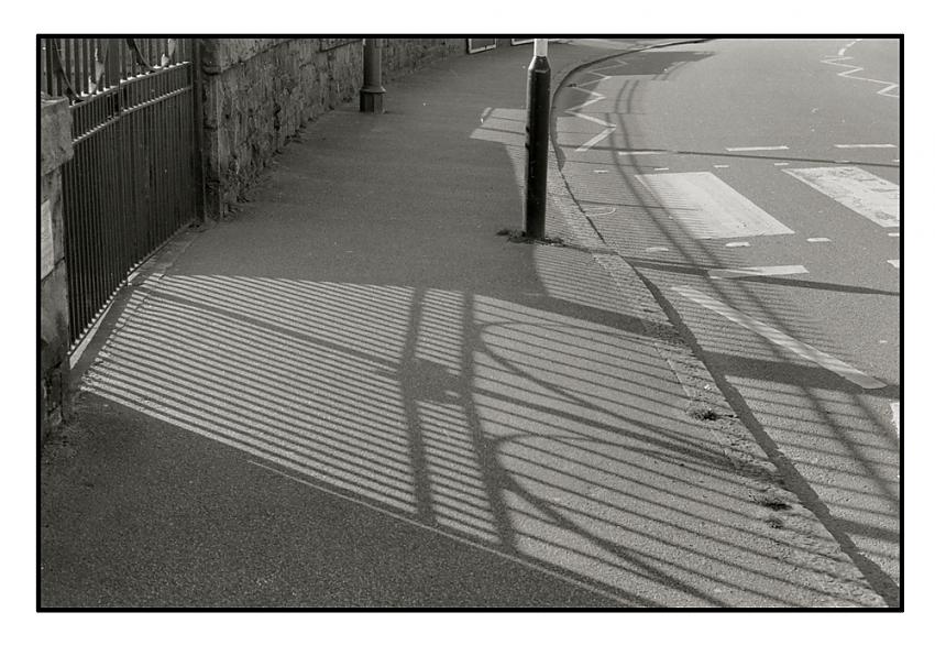 Zebra Crossing