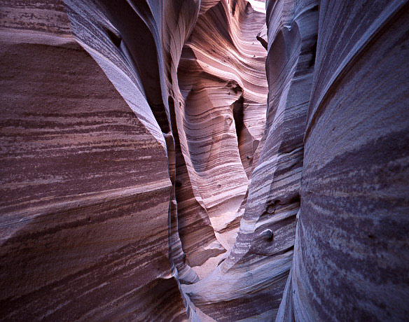 Zebra Slot Canyon