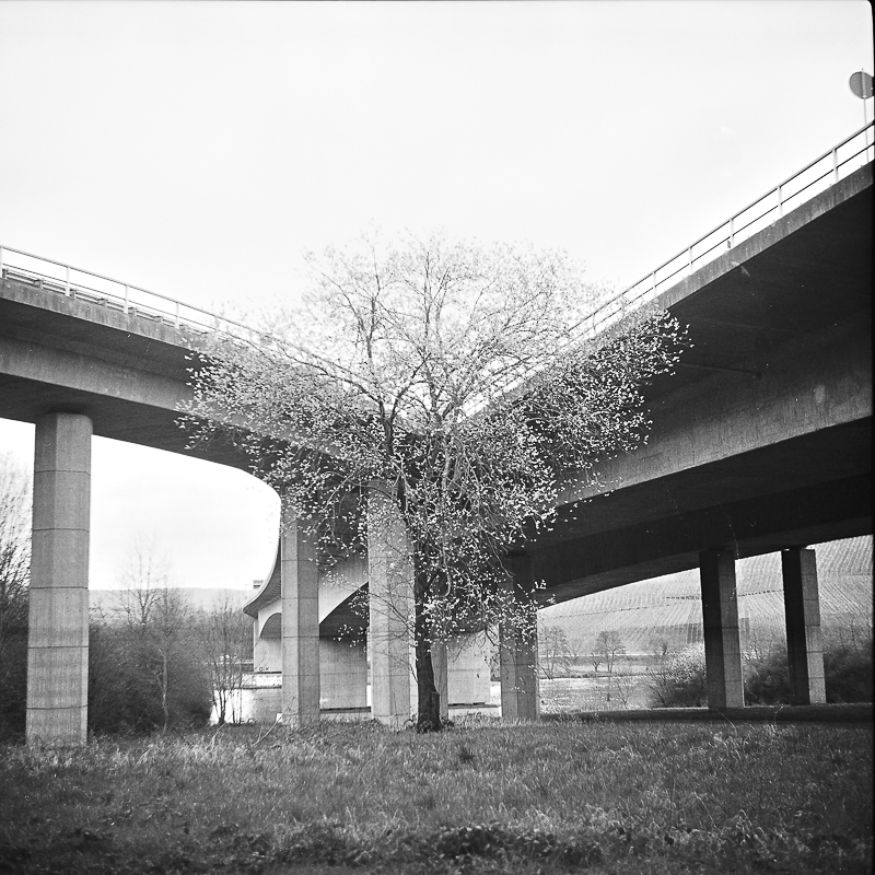 Zeiss01