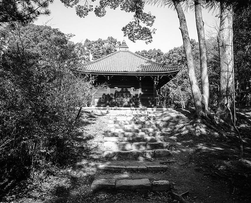 Zen Temple