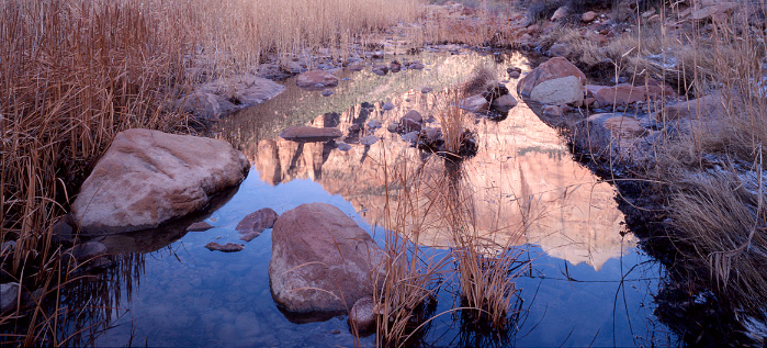 zion reflection