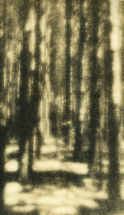 Zoneplate Pines
