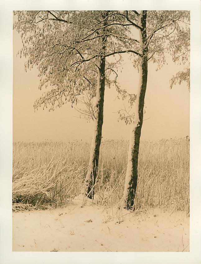 zw499-06-001