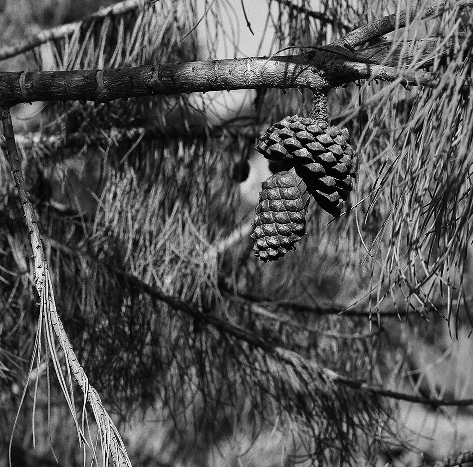 20211004Delta400_Detail_25280003v1.jpg