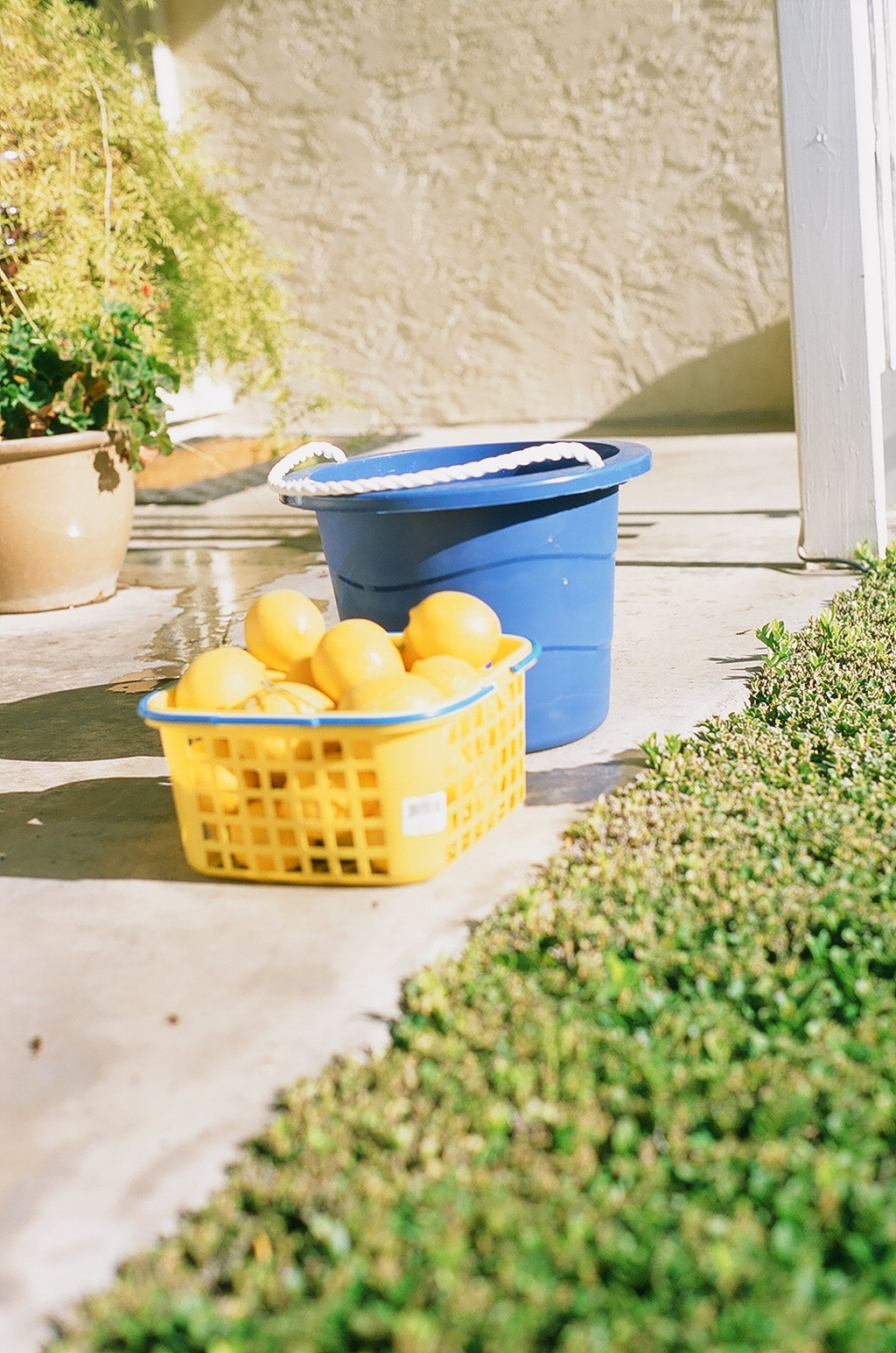 41900035_204578_1556115196_lg.jpg